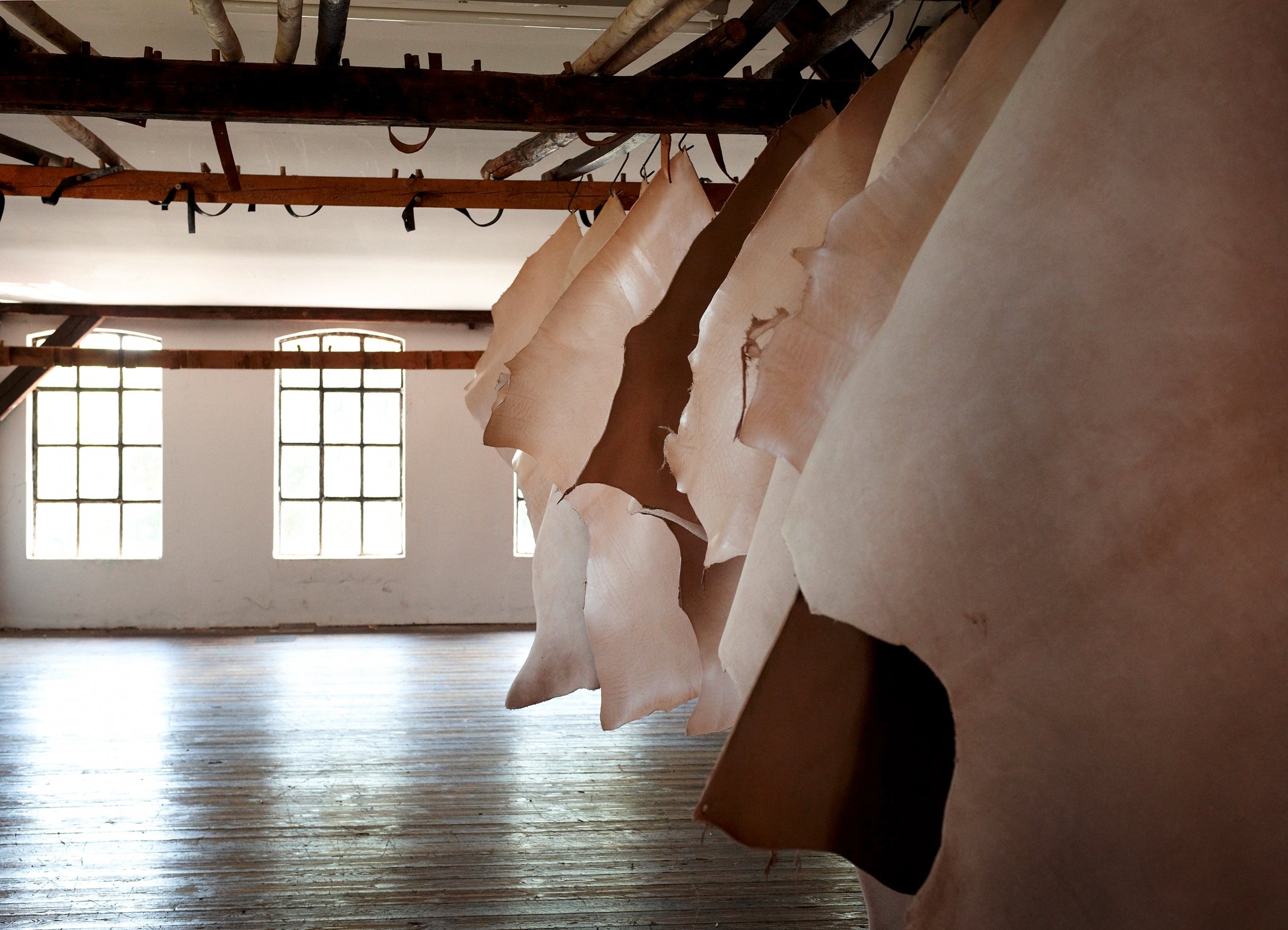 Lederhäute trocknen nach der Gerbung hängend auf dem Lederboden