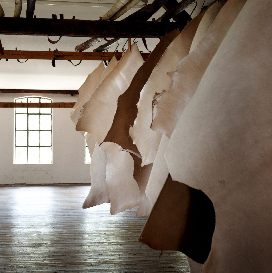 Lederhäute trocknen nach der Gerbung hängend auf dem Lederboden